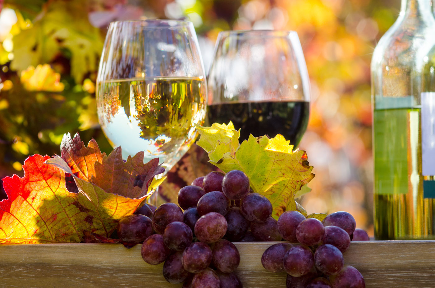 herbststimmung-blaetter-wein-1400